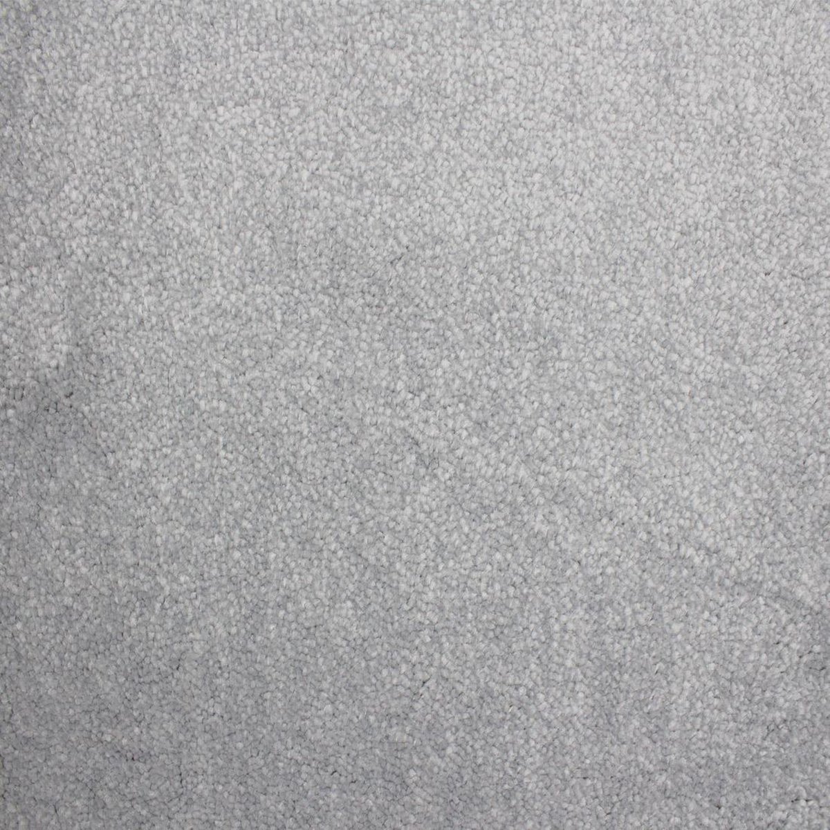 Vloerkleed Xilento Soft Dolphin | 170 x 230 cm