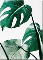 Plantenblad Engelse letter Art Posters Prints Art Wall Pictures zonder lijst, afmeting: 50 × 70cm (groen blad)