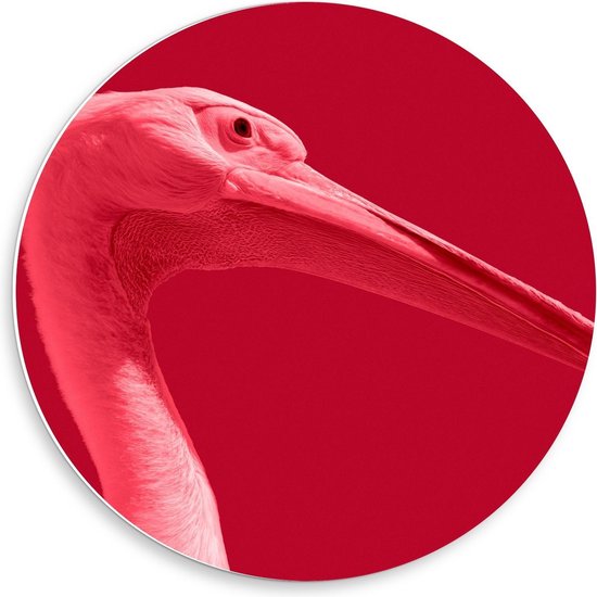 Forex Wandcirkel - Rode Vogel met Lange Snavel op Rode Achtergrond - 50x50cm Foto op Wandcirkel (met ophangsysteem)