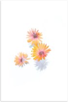 Poster – Oranje Bloemen - 60x90cm Foto op Posterpapier