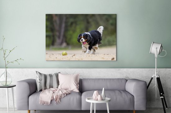 Un Cavalier King Charles Spaniel jouant avec une balle de tennis Toile 120x80 cm - Tirage photo sur Toile peinture (Décoration murale salon / chambre) / Animaux domestiques Peintures sur toile