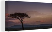 Canvas Schilderij Zonsopgang achter een acacia boom - 80x40 cm - Wanddecoratie