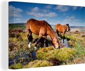 Canvas schilderij 150x100 cm - Wanddecoratie Wilde paarden bij de Black Mountains in het Nationaal park Brecon Beacons - Muurdecoratie woonkamer - Slaapkamer decoratie - Kamer accessoires - Schilderijen