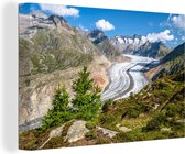 Le glacier d'Aletsch aux arbres verts au premier plan en Europe Toile 60x40 cm - Tirage photo sur toile (Décoration murale salon / chambre)