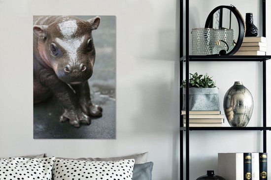 Bébé Hippo 60x90 cm - impression photo sur toile peinture (Décoration murale salon / chambre à coucher) / Les jeunes Animaux toile Peintures