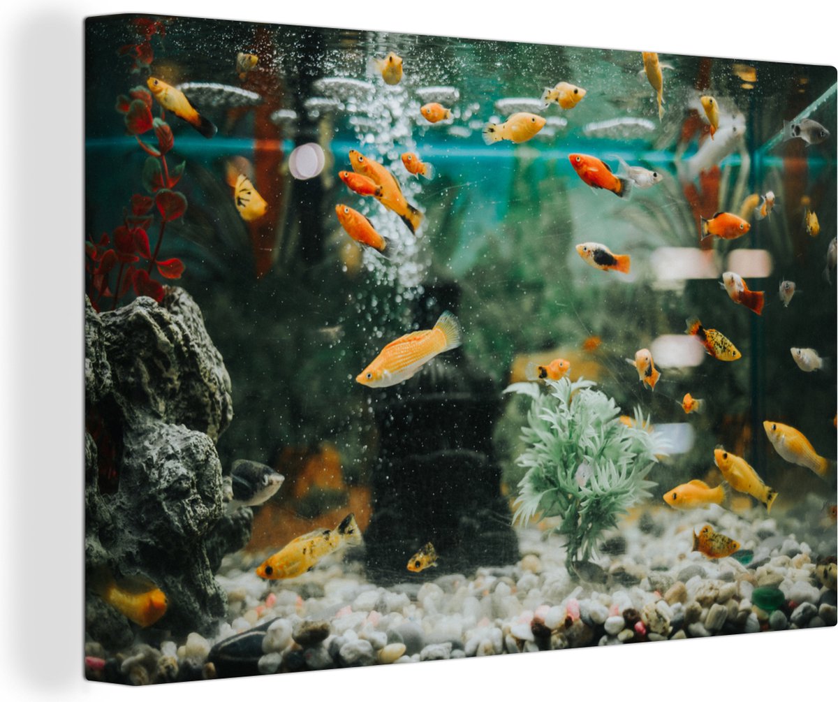 Canvas Schilderij Kleine visjes in een aquarium - 120x80 cm - Wanddecoratie