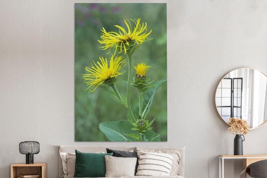 Fleur d'Alant jaune entre la haute herbe verte Toile 120x180 cm - Tirage photo sur toile (Décoration murale salon / chambre) XXL / Groot format!
