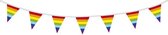 Vlaggenlijn Regenboog 10 meter