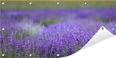 Tuinposter Lavendelveld 100 x 50 cm incl. Metalen ringen - (Buitenposter - Tuindoek - Buitencanvas - Schilderijen voor buiten - tuin decoratie)