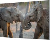 Wandpaneel Knuffelende olifanten  | 100 x 70  CM | Zilver frame | Wandgeschroefd (19 mm)