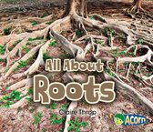 All About Plants - All About Roots