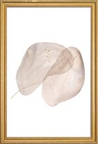 JUNIQE - Poster met houten lijst Beneath The Surface I -20x30 /Ivoor &