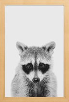 JUNIQE - Poster in houten lijst Raccoon Classic -40x60 /Wit & Zwart