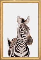 JUNIQE - Poster met houten lijst Zebra -40x60 /Wit & Zwart
