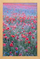 JUNIQE - Poster in houten lijst Poppy Seed Heaven -20x30 /Groen & Rood