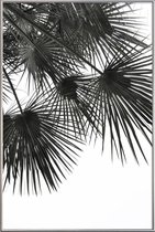 JUNIQE - Poster met kunststof lijst Endless Summer - Wind -60x90