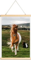 JUNIQE - Posterhanger Shetland Pony's -20x30 /Bruin & Groen