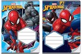 Spiderman - Schriften - 2 stuks - ruitjes - Avengers