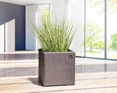 GoodVibes - Bloembak van Polyrattan 36 x 36 x 36 cm met Irrigatiesysteem, Mokka