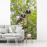 Behang - Fotobehang Twee ransuilen zitten tussen de bomen - Breedte 175 cm x hoogte 260 cm