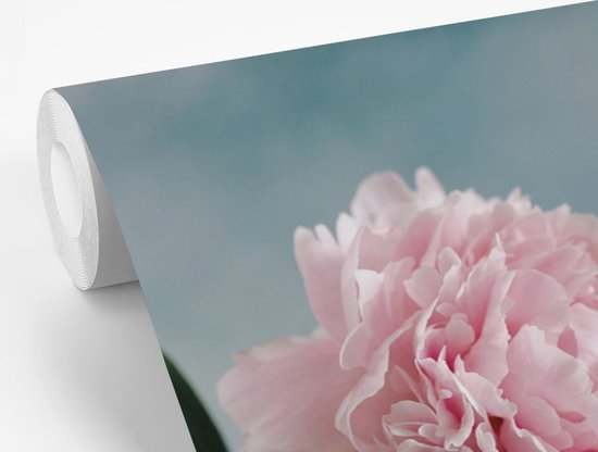 Papier peint photo vinyle - Une fleur rose et botanique avec un ciel coloré largeur 330 cm x hauteur 220 cm - Tirage photo sur papier peint (disponible en 7 tailles)