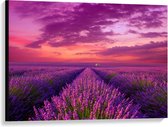 Canvas  - Fel Paars Lavendel Bloemenveld - 100x75cm Foto op Canvas Schilderij (Wanddecoratie op Canvas)
