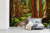 Behang - Fotobehang Houten pad door het Nationaal park Sequoia in Californië - Breedte 420 cm x hoogte 280 cm