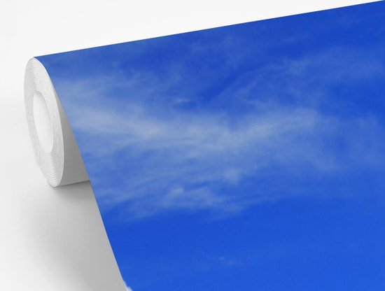 Veaux Zwart et blancs paissant dans la prairie 155x240 cm