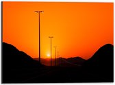 Dibond - Oranje Lucht boven Lantaarnpalen - 40x30cm Foto op Aluminium (Wanddecoratie van metaal)