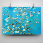 Poster Amandelbloesem - Vincent van Gogh - 70x50cm