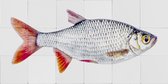 ESTAhome muursticker vis grijs en rood - 159029 - 97 x 48.5 cm