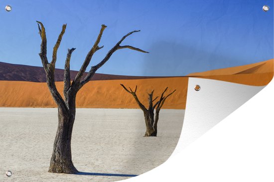 Tuinposter - Tuindoek - Tuinposters buiten - Boompjes in woestijn - 120x80 cm - Tuin