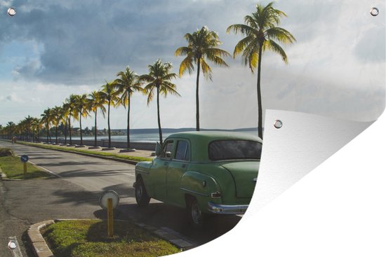Tuinposters buiten Auto- Cuba - Palmboom - 90x60 cm - Tuindoek - Buitenposter