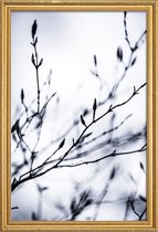 JUNIQE - Poster met houten lijst Winter Branches 2 -40x60 /Wit & Zwart