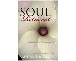 Omslag van Soul Retrieval