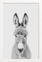 JUNIQE - Poster met houten lijst Donkey Classic -13x18 /Wit & Zwart