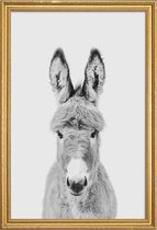 JUNIQE - Poster met houten lijst Donkey Classic -13x18 /Wit & Zwart