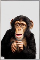 JUNIQE - Poster met kunststof lijst Chimpanzee -60x90 /Grijs & Oranje