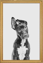 JUNIQE - Poster met houten lijst Hond – Zwart | Wit -60x90 /Grijs &