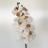 Boeket van de orchidee MET NATUURLIJKE TOUCH VAN 96 CM IN WIT