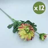 PAK 12 DAHLIA BOEKET MET NATUURLIJKE horen met 8 cm 58 9 CM Heads GEEL