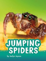 Animals - Jumping Spiders