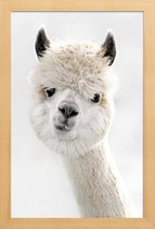 JUNIQE - Poster in houten lijst Alpaca met scheve kop -30x45 /Wit