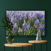 Canvas Schilderij Hyacint