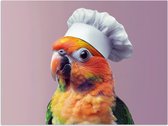 Poster 80x60 cm - Papegaai - Koksmuts - Nieuwsgierig - Vogel - Posters - Wanddecoratie keuken - Muurdecoratie woonkamer - Decoratieve accessoires - Kamer muur decoratie