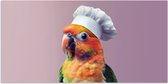 Poster 80x40 cm - Papegaai - Koksmuts - Nieuwsgierig - Vogel - Posters - Wanddecoratie keuken - Muurdecoratie woonkamer - Decoratieve accessoires - Kamer muur decoratie