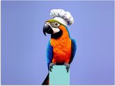 Poster 80x60 cm - Papegaai - Koksmuts - Vogel - Leuk - Posters - Wanddecoratie keuken - Muurdecoratie woonkamer - Decoratieve accessoires - Kamer muur decoratie