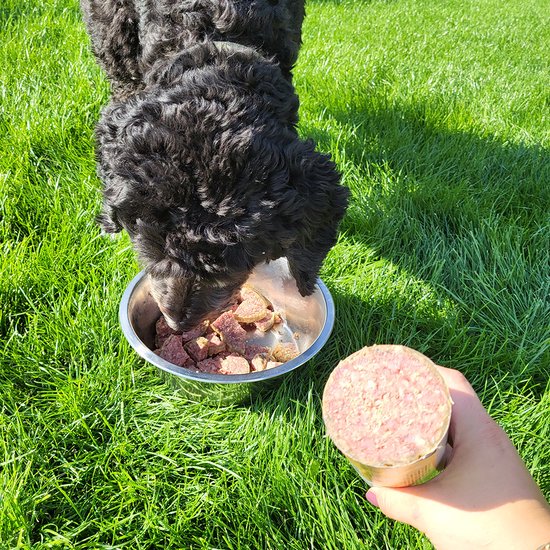 Een hand houdt een plak lamsworst vast. Een zwarte hond eet uit een voerbak op gras.