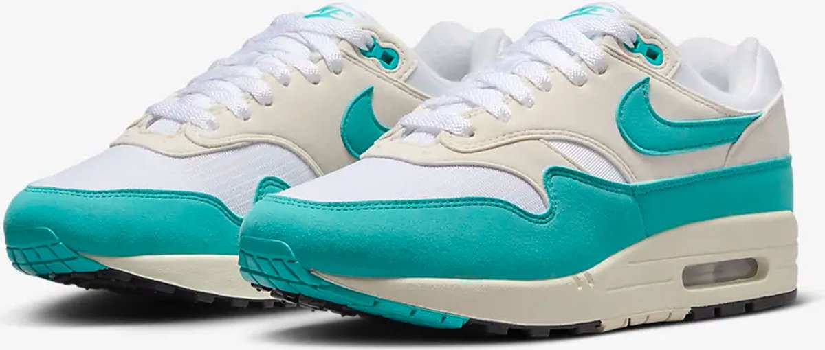 Nike Air Max 1 (Dusty Cactus) W