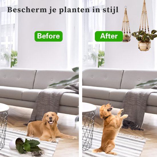 Links: een hond met omgevallen planten. Rechts: een hond kijkt omhoog naar planten in macramé hangers aan het plafond. Tekst 'Bescherm je planten in stijl'.